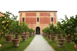 Scuola di Perugia, Mucciante apre i corsi: la formazione non pesi sulle famiglie